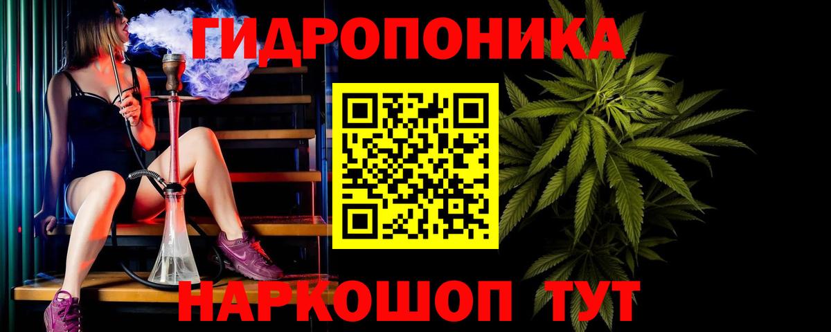Шишки марихуана план  Бошки марихуана Amnesia  Туапсе  Вход с VPN  Бошки марихуана Bruce Banner 
